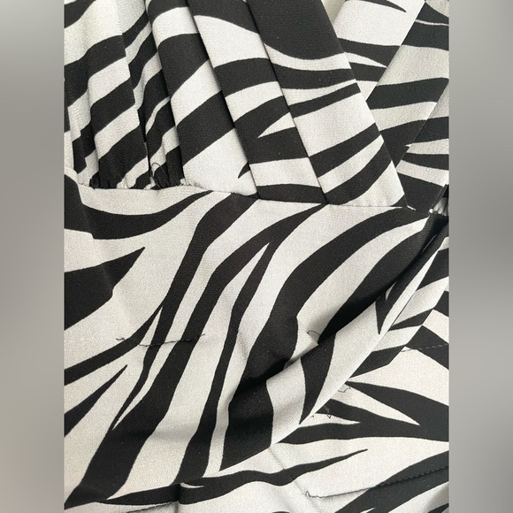 Sweet Storm Zebra Print Ruched V-Neck Dress - Picture 6 of 9